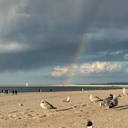 Casa Marina - Visitopl *